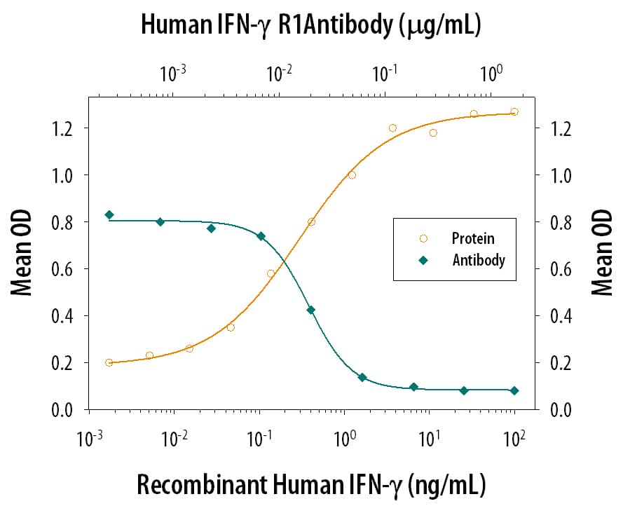 Neutralization IFN-gamma R1/CD119 Antibody (92101) [Unconjugated]
