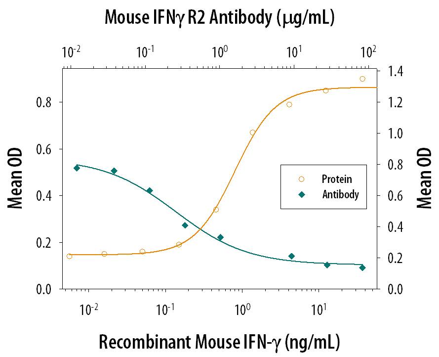 Recombinant Mouse IFN-gamma (Catalog # 485-MI) reduces the Encephalomyocarditis Virus (EMCV)-induced cytopathy in the L-929 mouse fibroblast cell line in a dose-dependent manner (orange line). Inhibition of EMCV activity elicited by Recombinant Mouse IFN-gamma (1 ng/mL) is neutralized (green line) by increasing concentrations of Hamster Anti-Mouse IFN-gamma R2 Monoclonal Antibody (Catalog # MAB773). The ND50 is typically 0.2-1 µg/mL.