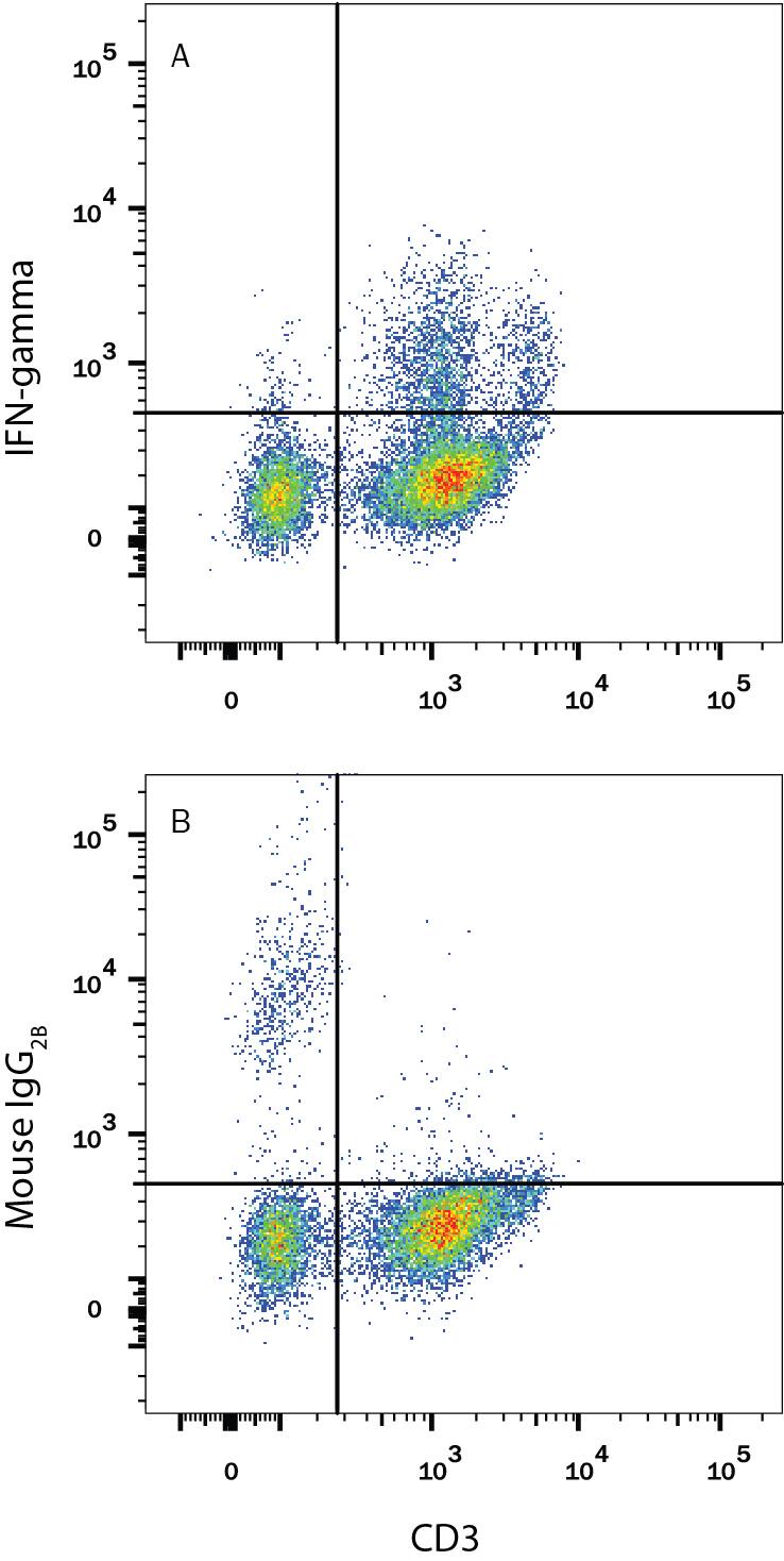 Human peripheral blood mononuclear cells (PBMCs) treated with 50 ng/mL PMA, 1 µg/mL Ionomycin, and 3 µM Monensin overnight were stained with Mouse Anti-Human CD3e Fluorescein-conjugated Monoclonal Antibody (Catalog # FAB100F) and either (A) Mouse Anti-Human IFN-gamma PerCP-conjugated Monoclonal Antibody (Catalog # IC285C) or (B) Mouse IgG2BPerCP Isotype Control (Catalog # IC0041C). To facilitate intracellular staining, cells were fixed and permeabilized with FlowX FoxP3 Fixation & Permeabilization Buffer Kit (Catalog # FC012). View our protocol for Staining Intracellular Molecules.
