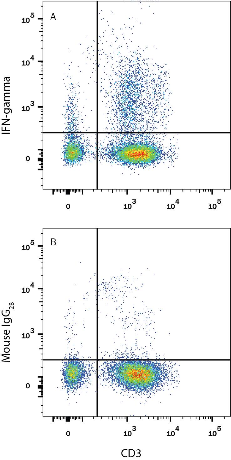 Human peripheral blood mononuclear cells (PBMCs) treated with 50 ng/mL PMA, 1 ug/mL Ionomycin, and 3 uM Monensin overnight were stained with Mouse Anti-Human CD3e APC-conjugated Monoclonal Antibody (Catalog # FAB100A) and either (A) Mouse Anti-Human IFN-gamma PE-conjugated Monoclonal Antibody (Catalog # IC285P) or (B) Mouse IgG2BPhycoerythrin Isotype Control (Catalog # IC0041P). To facilitate intracellular staining, cells were fixed and permeabilized with FlowX FoxP3 Fixation & Permeabilization Buffer Kit (Catalog # FC012). View our protocol for Staining Intracellular Molecules.
