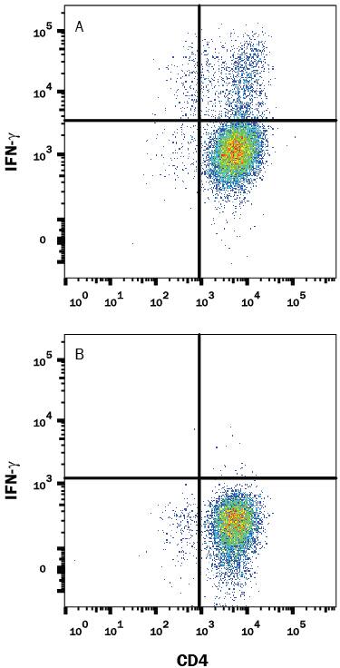 Mouse splenocytes either (A) stimulated to induce Th1 cells or (B) unstimulated were stained with Rat Anti-Mouse IFN-gamma APC-conjugated Monoclonal Antibody (Catalog # IC485A) and Rat Anti-Mouse CD4 PE-conjugated Monoclonal Antibody (Catalog # FAB554P). Quadrant markers were set based on control antibody staining (Catalog # IC006A). To facilitate intracellular staining, cells were fixed with Flow Cytometry Fixation Buffer (Catalog # FC004) and permeabilized with Flow Cytometry Permeabilization/Wash Buffer I (Catalog # FC005). View our protocol for Staining Intracellular Molecules.
