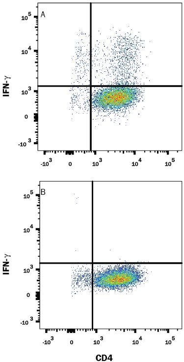 Mouse splenocytes either (A) stimulated to induce Th1 cells or (B) unstimulated were stained with Rat Anti-Mouse IFN-gamma Fluorescein-conjugated Monoclonal Antibody (Catalog # IC485F) and Rat Anti-Mouse CD4 APC-conjugated Monoclonal Antibody (Catalog # FAB554A). Quadrant markers were set based on control antibody staining (Catalog # IC006F). To facilitate intracellular staining, cells were fixed with Flow Cytometry Fixation Buffer (Catalog # FC004) and permeabilized with Flow Cytometry Permeabilization/Wash Buffer I (Catalog # FC005). View our protocol for Staining Intracellular Molecules.