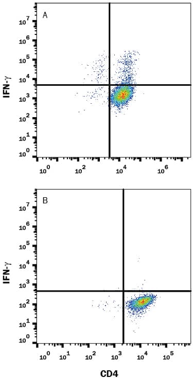 Mouse splenocytes either (A) stimulated to induce Th1 cells or (B) unstimulated were stained with Rat Anti-Mouse IFN-gamma Monoclonal Antibody (Catalog # MAB485) followed by Phycoerythrin-conjugated Anti-Rat IgG Secondary Antibody (F0105B) and Rat Anti-Mouse CD4 APC-conjugated Monoclonal Antibody (FAB554A). Quadrant markers were set based on control antibody staining (MAB006). To facilitate intracellular staining, cells were fixed with Flow Cytometry Fixation Buffer (FC004) and permeabilized with Flow Cytometry Permeabilization/Wash Buffer I (FC005). View our protocol for Staining Intracellular Molecules.