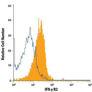Human peripheral blood granulocytes were stained with Goat Anti-Human IFN-gamma R2 APC-conjugated Antigen Affinity-purified Polyclonal Antibody (Catalog # FAB773A, filled histogram) or isotype control antibody (Catalog # IC108A, open histogram). View our protocol for Staining Membrane-associated Proteins.