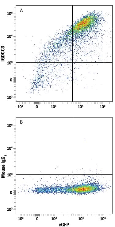 HEK293 human embryonic kidney cell line transfected with human IGDCC3 and eGFP was stained with either (A) Mouse Anti-Human IGDCC3 Alexa Fluor® 647-conjugated Monoclonal Antibody (Catalog # FAB8559R) or (B) Mouse IgG1Alexa Fluor 647 Isotype Control (Catalog # IC002R). View our protocol for Staining Membrane-associated Proteins.