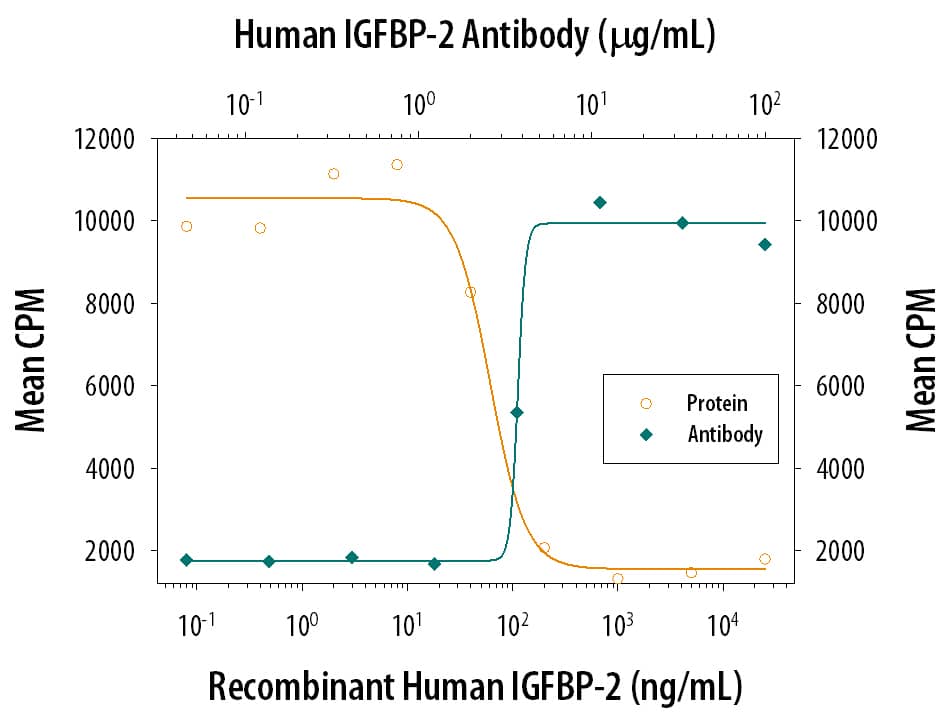 Neutralization IGFBP-2 Antibody [Unconjugated]
