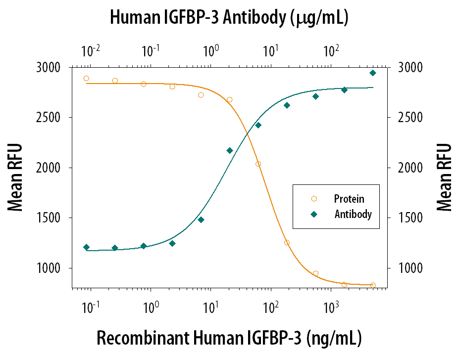 Neutralization IGFBP-3 Antibody