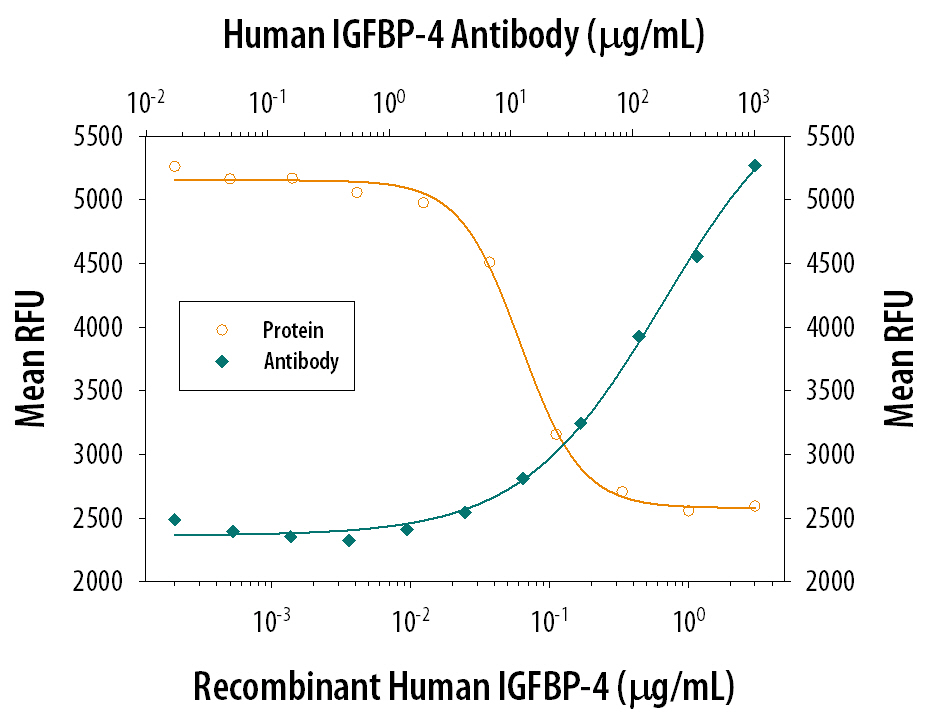 Recombinant Human IGFBP-4 (Catalog # 804-GB) inhibits Recombinant Human IGF-II (Catalog # 292-G2) induced proliferation in the MCF-7 human breast cancer cell line in a dose-dependent manner (orange line). Inhibition of Recombinant Human IGF-II (14 ng/mL) activity elicited by Recombinant Human IGFBP-4 (0.3 µg/mL) is neutralized (green line) by increasing concentrations of Mouse Anti-Human IGFBP-4 Monoclonal Antibody (Catalog # MAB8041). The ND50 is typically 20-80 µg/mL.