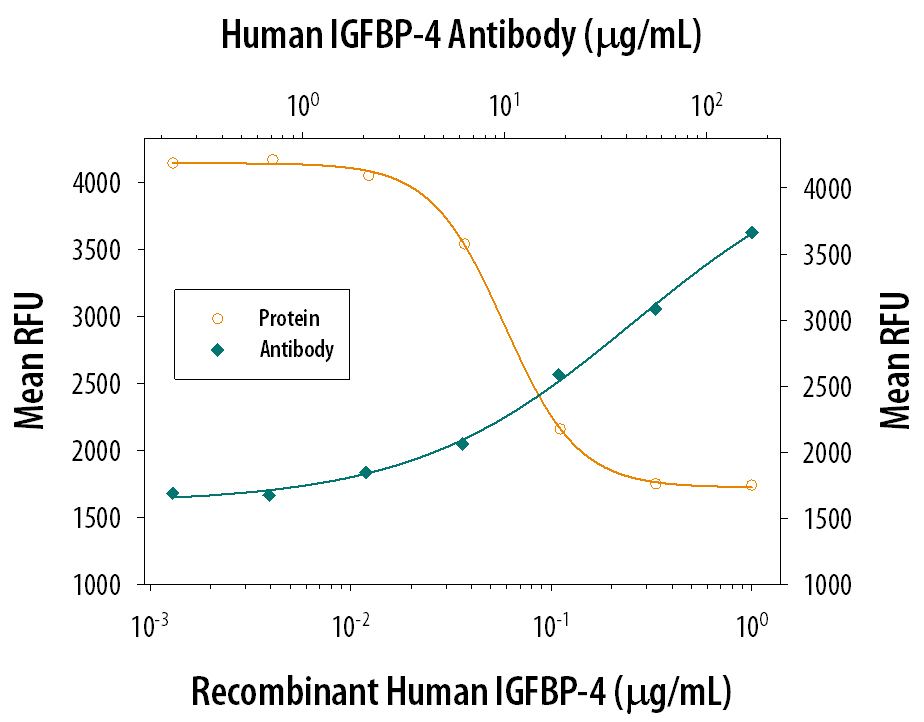 Recombinant Human IGFBP-4 (Catalog # 804-GB) inhibits Recombinant Human IGF-II (Catalog # 292-G2) induced proliferation in the MCF-7 human breast cancer cell line in a dose-dependent manner (orange line). Inhibition of Recombinant Human IGF-II (14 ng/mL) activity elicited by Recombinant Human IGFBP-4 (0.3 µg/mL) is neutralized (green line) by increasing concentrations of Mouse Anti-Human IGFBP-4 Monoclonal Antibody (Catalog # MAB804). The ND50 is typically 10-40 µg/mL.