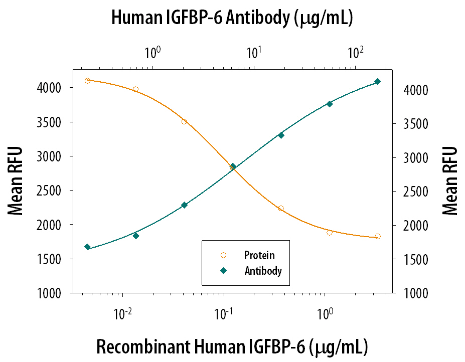 Recombinant Human IGFBP-6 (Catalog # 876-B6) inhibits Recombinant Human IGF-II (Catalog # 292-G2) induced proliferation in the MCF-7 human breast cancer cell line in a dose-dependent manner (orange line). Inhibition of Recombinant Human IGF-II (14 ng/mL) activity elicited by Recombinant Human IGFBP-6 (0.8 µg/mL) is neutralized (green line) by increasing concen-trations of Mouse Anti-Human IGFBP-6 Monoclonal Antibody (Catalog # MAB8762). The ND50 is typically 5-25 µg/mL.