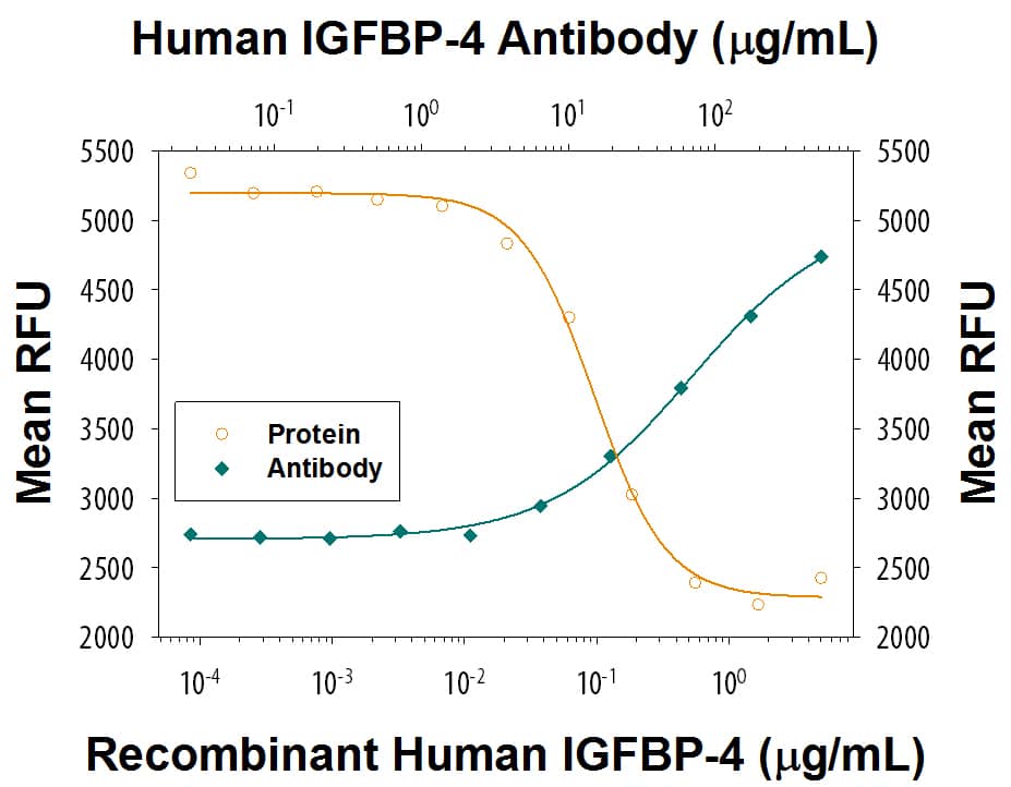 Recombinant Human IGFBP-4 (Catalog # 804-GB) inhibits Recombinant Human IGF-II (Catalog # 292-G2) induced proliferation in the MCF-7 human breast cancer cell line in a dose-dependent manner (orange line), as measured by Resazurin (Catalog # AR002). Inhibition of Recombinant Human IGF-II (14 ng/mL) activity elicited by Recombinant Human IGFBP-4 (0.3 µg/mL) is neutralized (green line) by increasing concentrations of Mouse Anti-Human IGFBP-4 Monoclonal Antibody (Catalog # MAB8041R). The ND50 is typically 20-80 µg/mL.