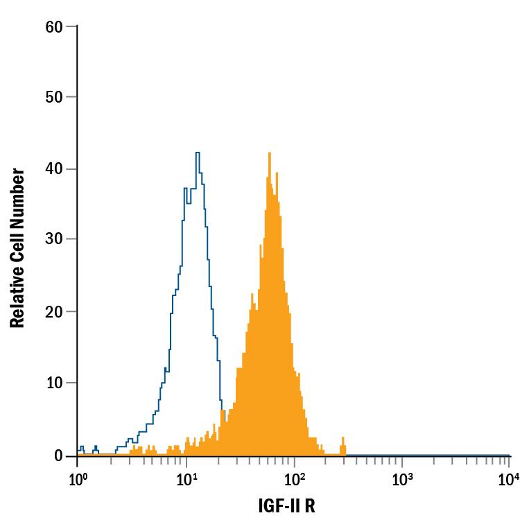 Human peripheral blood monocytes were stained with Goat Anti-Human IGF-II R Fluorescein-conjugated Antigen Affinity-purified Polyclonal Antibody (Catalog # FAB2447F, filled histogram) or isotype control antibody (Catalog # IC108F, open histogram). View our protocol for Staining Membrane-associated Proteins.