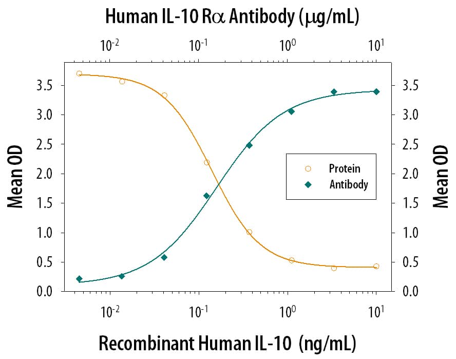Recombinant Human IL‑10 (Catalog # 217-IL) inhibits IL‑1 beta  secretion in LPS-activated human peripheral blood mononuclear cells (PBMC) in a dose-dependent manner (orange line), as measured by the Human IL‑1 beta /IL‑1F2 Quantikine ELISA Kit (Catalog # DLB50). IL‑1 beta  secretion inhibited by Recombinant Human IL‑10 (0.25 ng/mL) is neutralized (green line) by increasing concentrations of Human IL‑10 Ra Monoclonal Antibody (Catalog # MAB274). The ND50 is typically 0.03-0.1 µg/mL in the presence of LPS (0.25 ng/mL).