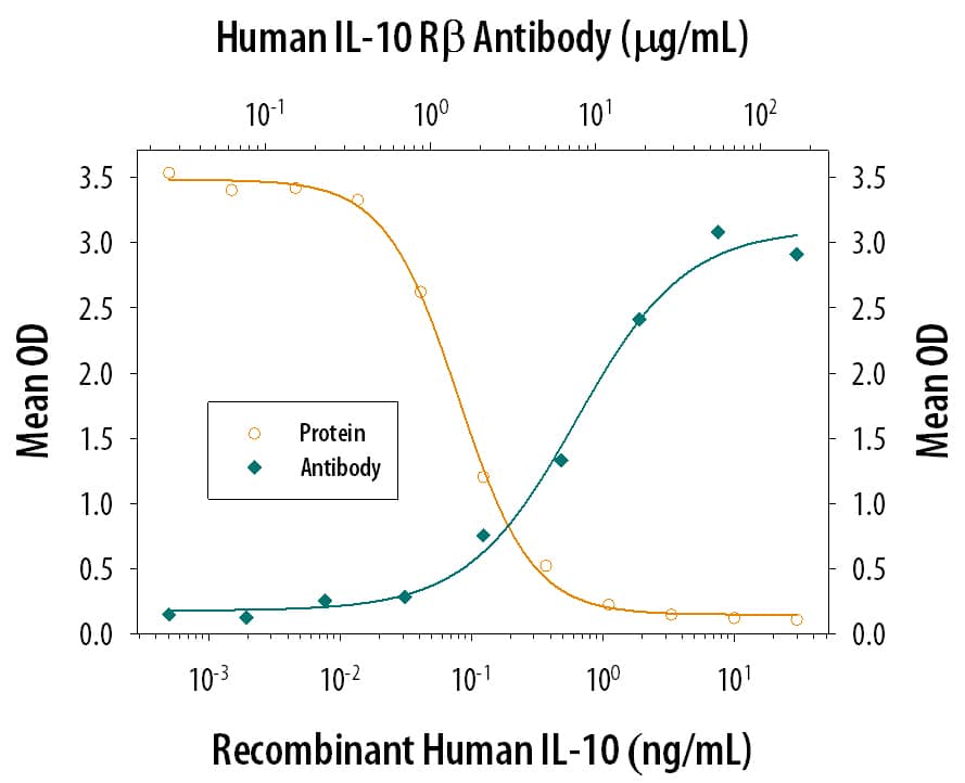 Recombinant Human IL-10 (Catalog # 217-IL) inhibits IL-1 beta  secretion in LPS-activated human peripheral blood mononuclear cells (PBMC) in a dose-dependent manner (orange line), as measured by the Human IL-1 beta /IL-1F2 Quantikine ELISA Kit (Catalog # DLB50). IL-1 beta  secretion inhibited by Recombinant Human IL-10 (0.25 ng/mL) is neutralized (green line) by increasing concentrations of Goat Anti-Human IL-10 R beta  Antigen Affinity-purified Polyclonal Antibody (Catalog # AF874). The ND50 is typically 2-6 µg/mL in the presence of LPS (0.25 ng/mL).