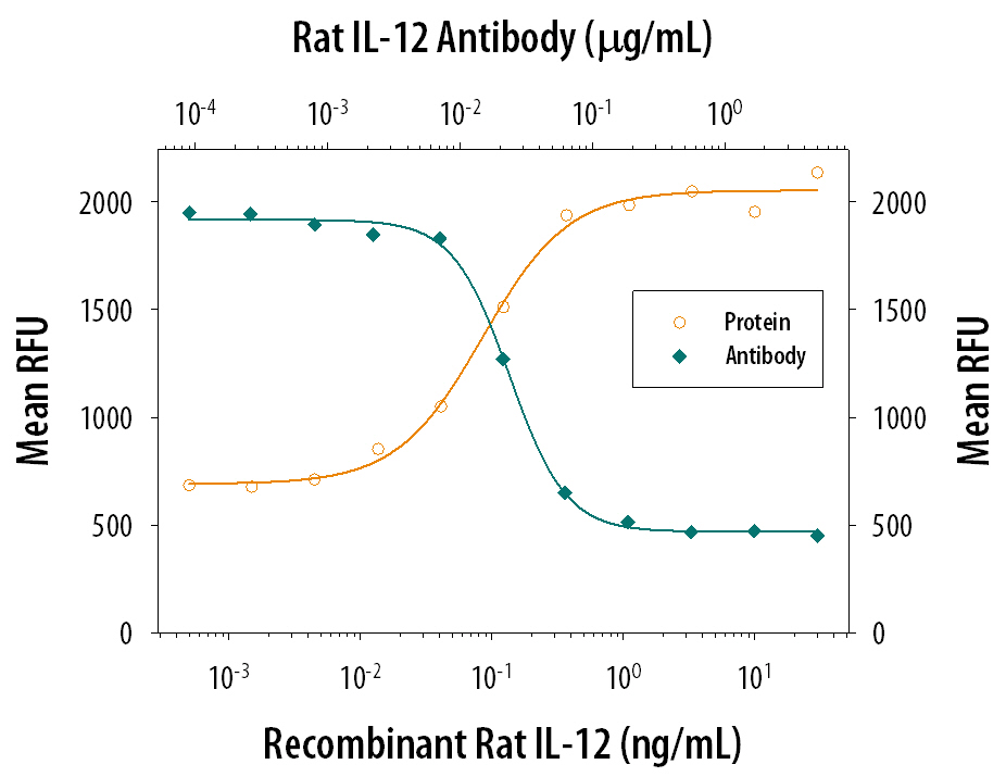 Recombinant Rat IL-12 (Catalog # 1760-RL) stimulates proliferation in mouse splenocytes in a dose-dependent manner (orange line). Proliferation elicited by Recombinant Rat IL-12 (1 ng/mL) is neutralized (green line) by increasing concentrations of Goat Anti-Rat IL-12 Antigen Affinity-purified Polyclonal Antibody (Catalog # AF1760). The ND50 is typically 0.05-0.25 µg/mL.