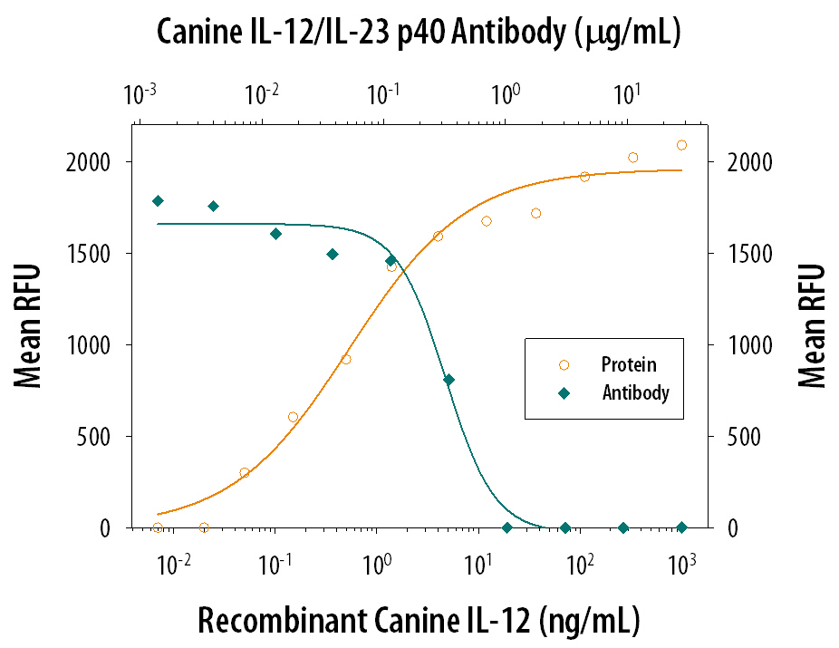 Recombinant Canine IL-12 (2118-CL) stimulates proliferation in PHA-activated human peripheral blood mononuclear cells (PBMC) in a dose-dependent manner (orange line). Proliferation elicited by Recombinant Canine IL-12 (25 ng/mL) is neutralized (green line) by increasing concen-trations of Goat Anti-Canine IL-12/IL-23 p40 Antigen Affinity-purified Polyclonal Antibody (Catalog # AF1969). The ND50 is typically 0.1-0.4 µg/mL.