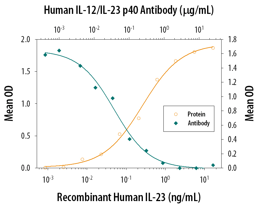 In the presence of Recombinant Mouse IL-2 (10 ng/mL, Catalog # 402-ML), Recombinant Human IL-23 (Catalog # 1290-IL) stimulates IL-17 secretion in mouse splenocytes in a dose-dependent manner (orange line), as measured by the Mouse IL-17 Quantikine ELISA Kit (Catalog # M1700). Under these conditions, IL-17 secretion elicited by Recombinant Human IL-23 (0.75 ng/mL) is neutralized (green line) by increasing concentrations of Human IL-12/IL-23 p40 Monoclonal Antibody (Catalog # MAB1510). The ND50 is typically 0.02-0.1 µg/mL. This antibody also neutralizes Human IL-12 induced activity in human PBLs. The ND50 is approximately 0.05-0.25 µg/mL in the presence of 1 ng/mL Recombinant Human IL-12.