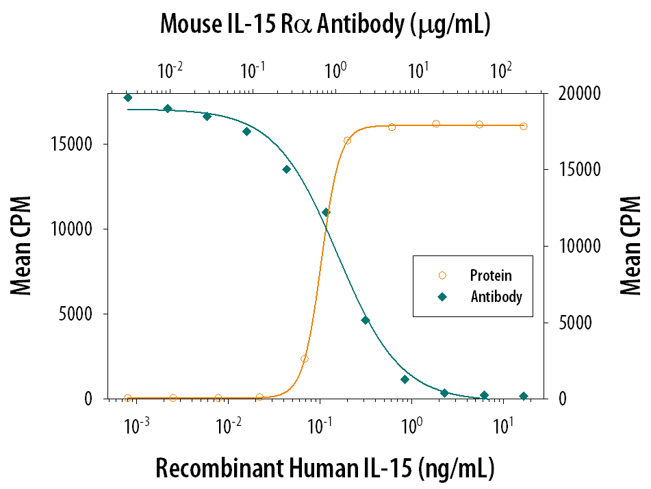 Neutralization IL-15R alpha Antibody