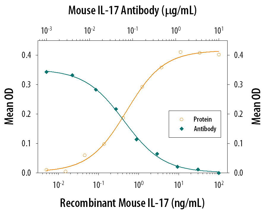 Recombinant Mouse IL-17 (Catalog # 421-ML) stimulates IL-6 secretion in the NIH-3T3 mouse embryonic fibroblast cell line in a dose-dependent manner (orange line), as measured by the Mouse IL-6 Quantikine ELISA Kit (Catalog # M6000B). IL-6 secretion elicited by Recombinant Mouse IL-17 (10 ng/mL) is neutralized (green line) by increasing concentrations of Rat Anti-Mouse IL-17 Monoclonal Antibody (Catalog # MAB421). The ND50 is typically 0.05-0.15 µg/mL.