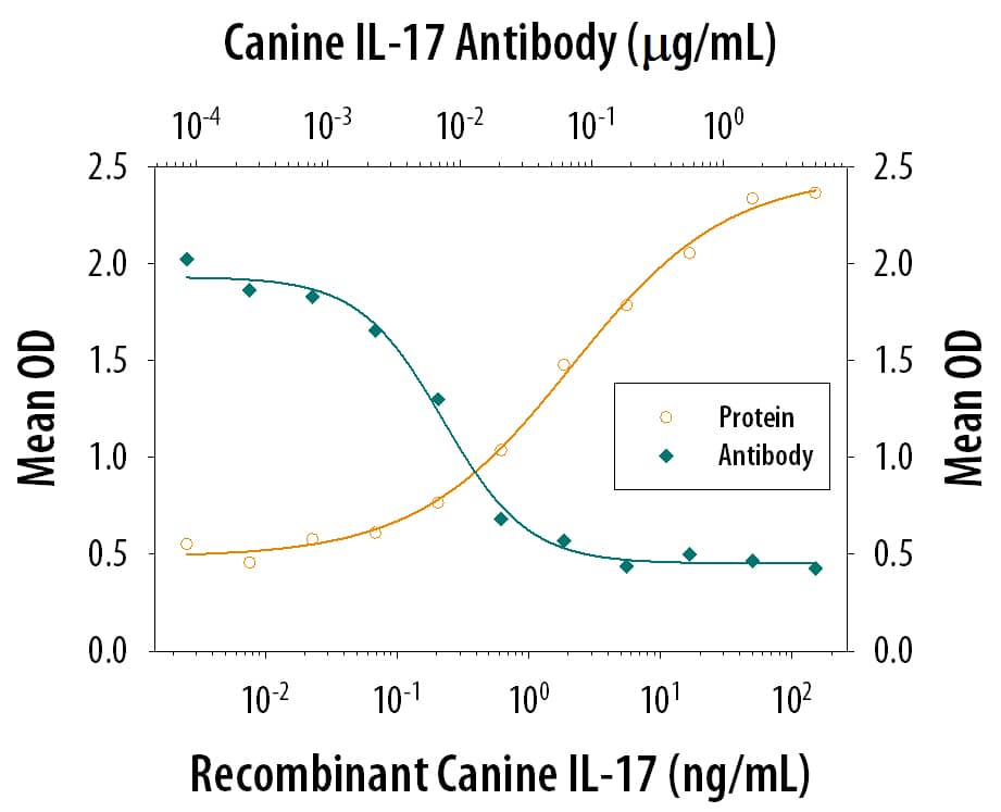 Recombinant Canine IL-17 (Catalog # 5848-CL) induces IL-6 secretion in the NIH-3T3 mouse embryonic fibroblast cell line in a dose-dependent manner (orange line). IL-6 Secretion elicited by Recombinant Canine IL-17 (5 ng/mL) is neutralized (green line) by increasing concentrations of Mouse Anti-Canine IL-17 Monoclonal Antibody (Catalog # MAB5848). The ND50 is typically 5-30 ng/mL.