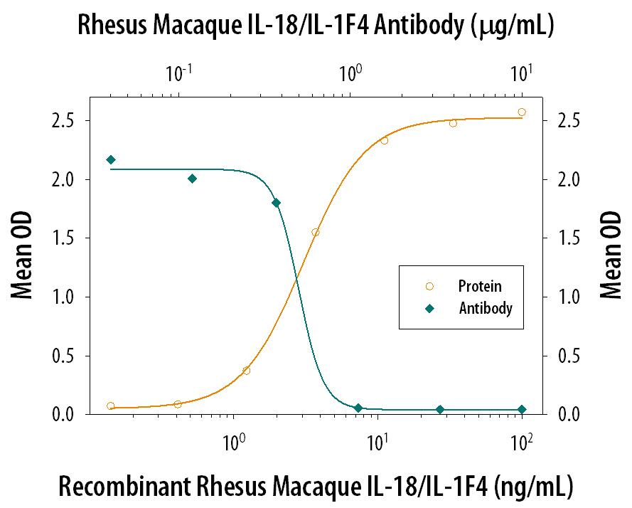 In the presence of Recombinant Human TNF-alpha  (20 ng/mL, Catalog # 210-TA), Recombinant Rhesus Macaque IL-18/IL-1F4 (Catalog # 2548-RM) stimulates IFN-gamma  secretion in the KG-1 human acute myelogenous leukemia cell line in a dose-dependent manner (orange line), as measured by the Human IFN-gamma  Quantikine ELISA Kit (Catalog # DIF50C). Under these conditions, IFN-gamma  secretion elicited by Recombinant Rhesus Macaque IL-18/IL-1F4 (10 ng/mL) is neutralized (green line) by increasing concentrations of Goat Anti-Human/Rhesus Macaque IL-18/IL-1F4 Antigen Affinity-purified Polyclonal Antibody (Catalog # AF2548). The ND50 is typically 0.4-1.2 µg/mL.