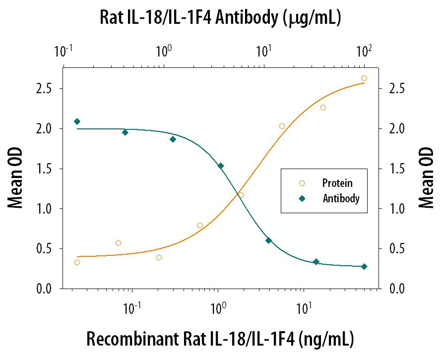 In the presence of Recombinant Mouse IL-12 (0.1 ng/mL, Catalog # 419-ML), Recombinant Rat IL-18/IL-1F4 (Catalog # 521-RL) stimulates IFN-gamma secretion in activated mouse T cells in a dose-dependent manner (orange line), as measured by the Mouse IFN-gamma Quantikine ELISA Kit (Catalog # MIF00). Under these conditions, IFN-gamma secretion elicited by Recombinant Rat IL-18/IL-1F4 (15 ng/mL) is neutralized (green line) by increasing concentrations of Rat IL-18/IL-1F4 Antigen Affinity-purified Polyclonal Antibody (Catalog # AF521). The ND50 is typically 1-3 µg/mL.