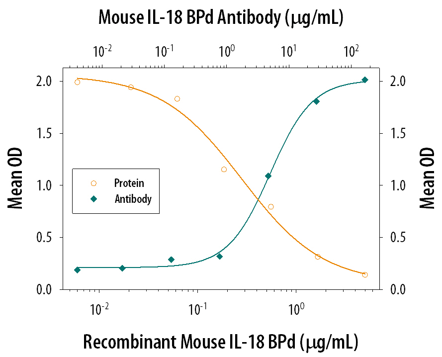 Recombinant Mouse IL-18 BPd Fc Chimera (Catalog # 122-BP) inhibits Recombinant Mouse IL-18/IL-1F4 induced IFN-gamma secretion in activated mouse T cells in a dose-dependent manner (orange line), as measured by the Mouse IFN-gamma Quantikine ELISA Kit (Catalog # MIF00). Inhibition of Recombinant Mouse IL-18/ IL-1F4 (0.5 ng/mL) activity elicited by Recombinant Mouse IL-18 BPd Fc Chimera (2 µg/mL) is neutral-ized (green line) by increasing concentrations of Goat Anti-Mouse IL-18 BPd Antigen Affinity-purified Polyclonal Antibody (Catalog # AF122). The ND50 is typically 10-30 µg/mL in the presence of Recombinant Mouse IL-12 (0.1 ng/mL).