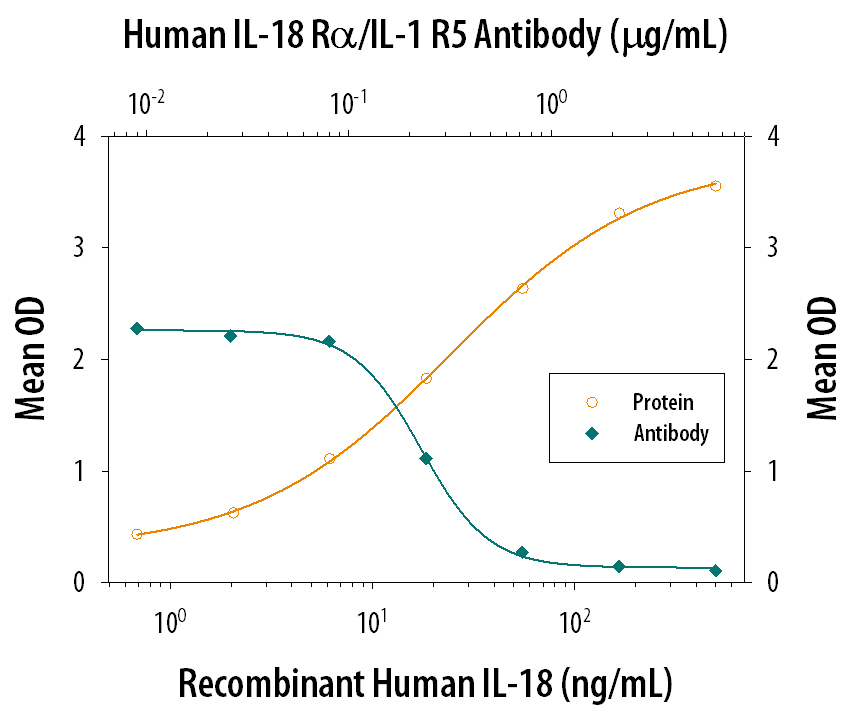 Recombinant Human IL‑18/IL‑1F4 stimulates IFN‑ gamma  secretion in the KG‑1 human acute myelogenous leukemia cell line, in a dose-dependent manner (orange line), as measured by the Human IFN‑ gamma  Quantikine ELISA Kit (Catalog # DIF50C). IFN‑ gamma  secretion elicited by IL‑18/IL‑1F4 (40 ng/mL) is neutralized (green line) by increasing concentrations of Goat Anti-Human IL‑18 Ra/IL‑1 R5 Antigen Affinity-purified Polyclonal Antibody (Catalog # AF840). The ND50 is typically 0.1-0.4 µg/mL.