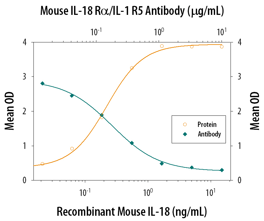 In the presence of Recombinant Mouse IL-12 (0.1 ng/mL, Catalog # 419-ML), Recombinant Mouse IL-18/IL-1F4 stimulates IFN-gamma secretion in activated mouse T cells in a dose-dependent manner (orange line), as measured by the Mouse IFN-gamma Quantikine ELISA Kit (Catalog # MIF00). Under these conditions, IFN-gamma secretion elicited by Recombinant Mouse IL-18/IL-1F4 (0.5 ng/mL) is neutralized (green line) by increasing concentrations of Mouse IL-18 Ra/IL-1 R5 Antigen Affinity-purified Polyclonal Antibody (Catalog # AF856). The ND50 is typically 0.2-0.8 µg/mL.