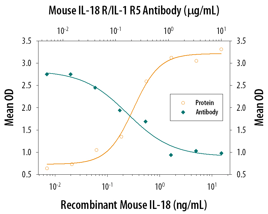 In the presence of Recombinant Mouse IL-12 (0.1 ng/mL, Catalog # 419-ML), Recombinant Mouse IL-18/IL-1F4 stimulates IFN-gamma secretion in activated mouse T cells in a dose-dependent manner (orange line), as measured by the Mouse IFN-gamma Quantikine ELISA Kit (Catalog # MIF00). Under these conditions, IFN-gamma secretion elicited by Recombinant Mouse IL-18/IL-1F4 (0.5 ng/mL) is neutralized (green line) by increasing concentrations of Mouse IL-18 Ra/IL-1 R5 Monoclonal Antibody (Catalog # MAB12161). The ND50 is typically 0.2-0.8 µg/mL.