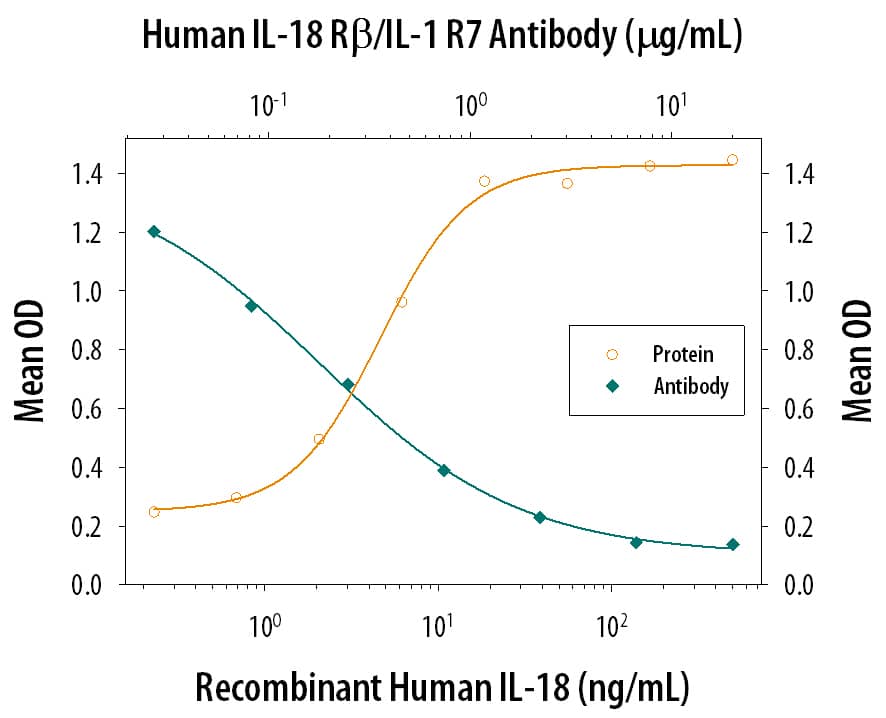 In the presence of Recombinant Human TNF-a (20 ng/mL, Catalog # 210-TA), Recombinant Human IL-18/IL-1F4 stimulates IFN-gamma  secretion in the KG-1 human acute myelogenous leukemia cell line in a dose-dependent manner (orange line), as measured by the Human IFN-y Quantikine ELISA Kit (Catalog # DIF50C). Under these conditions, IFN-gamma  secretion elicited by Recombinant Human IL-18/IL-1F4 (40 ng/mL) is neutralized (green line) by increasing concentrations of Human IL-18 R beta /IL-1 R7 Antigen Affinity-purified Polyclonal Antibody (Catalog # AF118). The ND50 is typically 0.3-1.2 µg/mL.