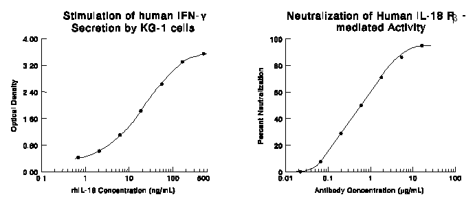 Neutralization IL-18 R beta/IL-1 R7/ACPL Antibody (132016) [Unconjugated]