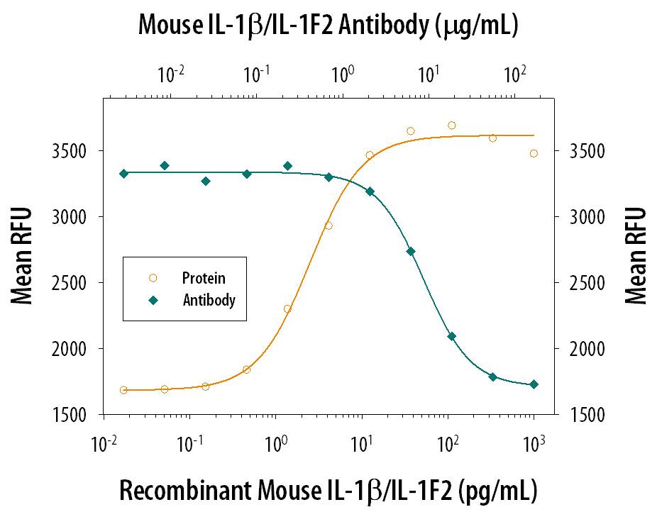 Recombinant Mouse IL-1 beta /IL-1F2 (401-ML) stimulates proliferation in the the D10.G4.1 mouse helper T cell line in a dose-dependent manner (orange line). Proliferation elicited by Recombinant Mouse IL-1 beta /IL-1F2 (10 pg/mL) is neutralized (green line) by increasing concentrations of Goat Anti-Mouse IL-1 beta /IL-1F2 Polyclonal Antibody (Catalog # AB-401-NA). The ND50 is typically 2-12 µg/mL.