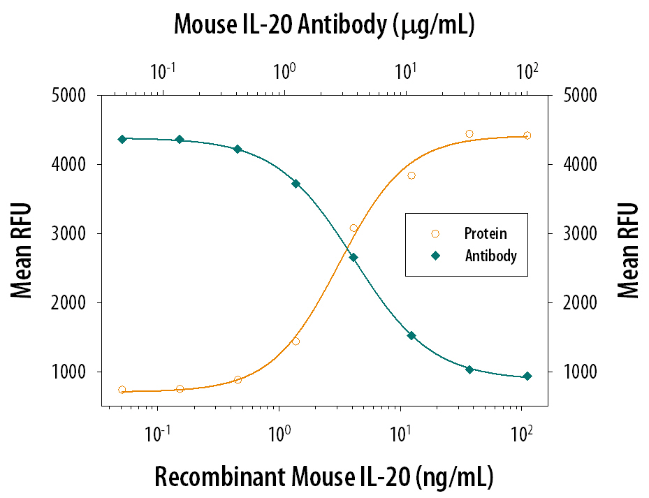 Recombinant Mouse IL-20 (Catalog # 1204-ML) stimulates proliferation in the BaF3 mouse pro-B cell line co-transfected with human IL-20 Ra and IL-20 R beta  in a dose-dependent manner (orange line). Proliferation elicited by Recombinant Mouse IL-20 (10 ng/mL) is neutralized (green line) by increasing concentrations of Rat Anti-Mouse IL-20 Monoclonal Antibody (Catalog # MAB12043). The ND50 is typically 0.4-4 µg/mL.