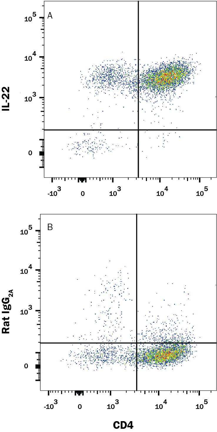 Mouse splenocytes differentiated to Th17 cells with plate-bound Rat anti-Mouse CD3e monoclonal antibody (MAB484, 5 µg/mL) plus Goat anti-Mouse CD28 (AF483, 5 µg/mL), Recombinant Human TGF-beta 1 (240-B, 10 ng/mL) Recombinant Mouse IL-23 (1887-ML, 20 ng/mL), Recombinant Mouse IL-6 (406-ML, 40 ng/mL), Recombinant Mouse IL-1 beta  (401-ML, 10 ng/mL), and Rat anti-Mouse IFN-gamma (MAB485, 10 µg/mL) for 5 days then re-stimulated with PMA (50 ng/ml), Ca2+ Ionomycin (200 ng/ml) and Brefeldin A ( 5 μg/ml) for 4 hours, were stained with APC-conjugated Rat anti-Mouse CD4 Monoclonal Antibody (FAB554A) and (A) Rat Anti-Mouse IL-22 Monoclonal Antibody (Catalog # MAB582) or (B) isotype control antibody (MAB006) followed by PE-conjugated Goat anti-Rat secondary antibody (F0105B). To facilitate intracellular staining, cells were fixed and permeabilized with FlowX FoxP3/Transcription Factor Fixation & Perm Buffer Kit. (FC012). View our protocol for Staining Intracellular Molecules.
