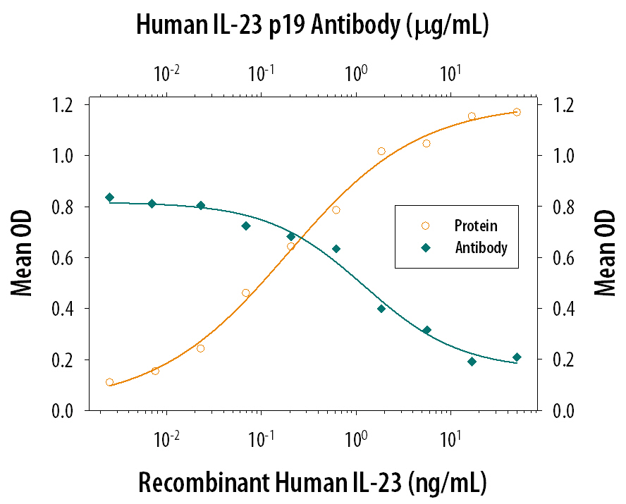 In the presence of Recombinant Mouse IL-2 (10 ng/mL, Catalog # 402-ML), Recombinant Human IL-23 (Catalog # 1290-IL) stim-ulates IL-17 secretion in mouse splenocytes in a dose-dependent manner (orange line), as measured by the Mouse IL-17 Quantikine ELISA Kit (Catalog # M1700). Under these conditions, IL-17 secretion elicited by Recombinant Human IL-23 (0.75 ng/mL) is neutralized (green line) by increasing concentrations of Goat Anti-Human IL-23 p19 Antigen Affinity-purified Polyclonal Antibody (Catalog # AF1716). The ND50 is typically 0.2-0.8 µg/mL.