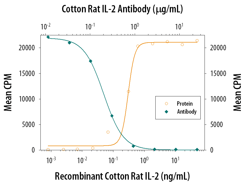 Recombinant Cotton Rat IL-2 (Cys146Tyr) (Catalog # 579-R2) stimulates proliferation in the CTLL-2 mouse cytotoxic T cell line in a dose-dependent manner (orange line). Proliferation elicited by Recombinant Cotton Rat IL-2 (Cys146Tyr) (1.5 ng/mL) is neutralized (green line) by increasing concentrations of Goat Anti-Cotton Rat IL-2 Antigen Affinity-purified Poly-clonal Antibody (Catalog # AF579). The ND50 is typically 0.1-0.4 µg/mL.