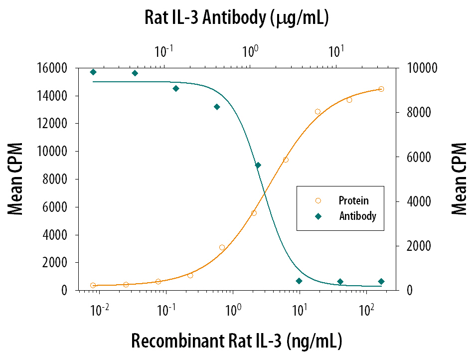 Recombinant Rat IL‑3 (Catalog # 2524-RL) stimulates proliferation in the M‑NFS‑60 mouse myelogenous leukemia lymphoblast cell line in a dose-dependent manner (orange line). Proliferation elicited by Recombinant Rat IL‑3 (0.5 ng/mL) is neutralized (green line) by increasing concentrations of Goat Anti-Rat IL‑3 Antigen Affinity-purified Polyclonal Antibody (Catalog # AF2524). The ND50 is typically 0.75-3 µg/mL.
