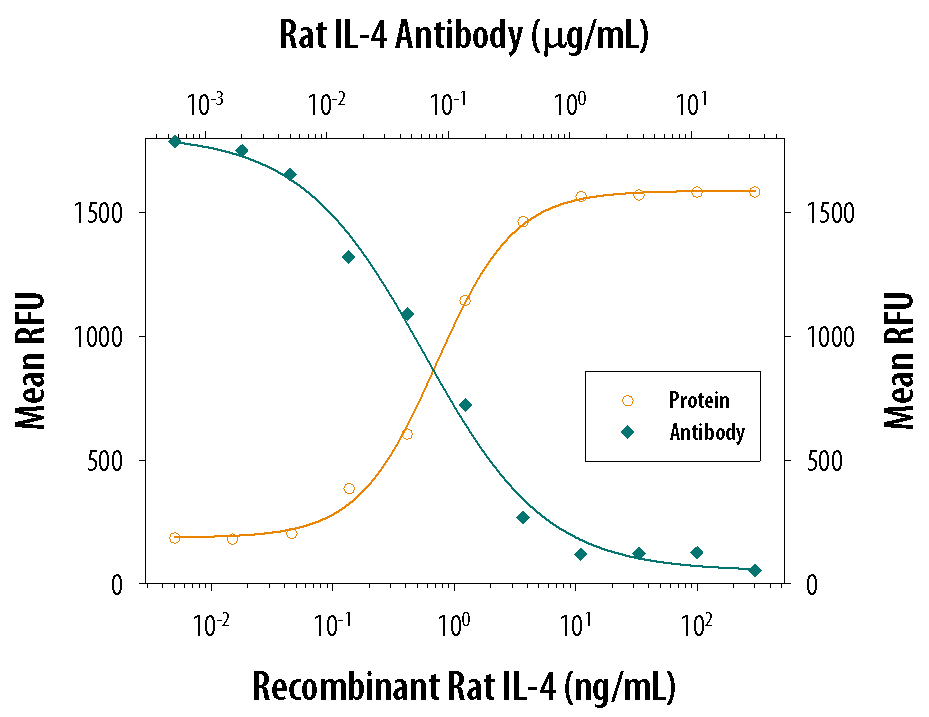Recombinant Rat IL-4 (Catalog # 504-RL) stimulates proliferation in the rat splenocytes in a dose-dependent manner (orange line). Proliferation elicited by Recombinant Rat IL-4 (4 ng/mL) is neutralized (green line) by increasing concentrations of Goat Anti-Rat IL-4 Antigen Affinity-purified Polyclonal Antibody (Catalog # AF-504-NA). The ND50 is typically 0.05-015 µg/mL in the presence of PHA (10 µg/mL).