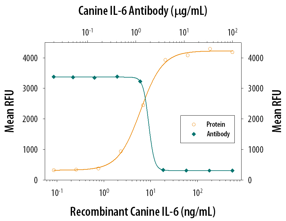 Recombinant Canine IL-6 (Catalog # 1609-CL) stimulates proliferation in the T1165.85.2.1 mouse plasmacytoma cell line in a dose-dependent manner (orange line). Proliferation elicited by Recombinant Canine IL-6 (50 ng/mL) is neutralized (green line) by increasing concentrations of Goat Anti-Canine IL-6 Antigen Affinity-purified Polyclonal Antibody (Catalog # AF1609). The ND50 is typically 0.4-2.0 µg/mL.