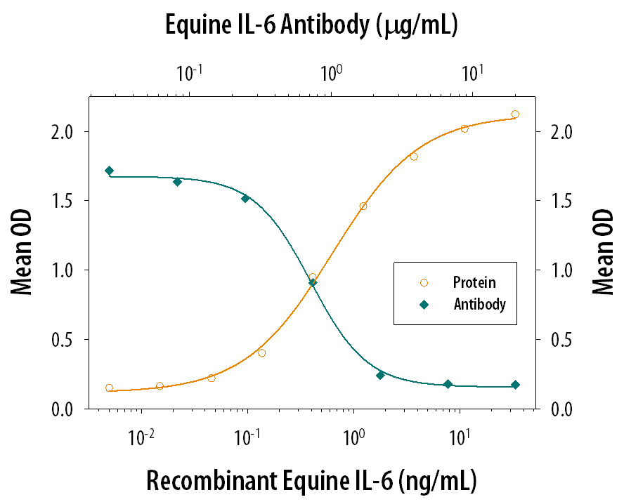 Recombinant Equine IL-6 (Catalog # 1886-EL) stimulates proliferation in the T1165.85.2.1 mouse plasmacytoma cell line in a dose-dependent manner (orange line). Proliferation elicited by Recombinant Equine IL-6 (4 ng/mL) is neutralized (green line) by increasing concentrations of Goat Anti-Equine IL-6 Antigen Affinity-purified Polyclonal Antibody (Catalog # AF1886). The ND50 is typically 0.5-1.5 µg/mL.