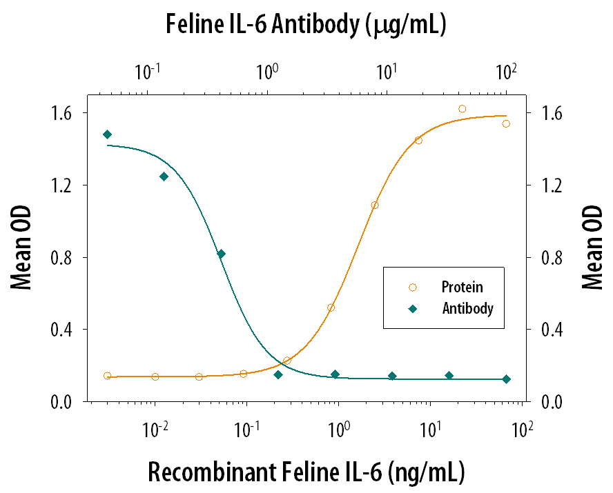 Recombinant Feline IL-6 (Catalog # 2305-FL) stimulates proliferation in the T1165.85.2.1 mouse plasmacytoma cell line in a dose-dependent manner (orange line). Proliferation elicited by Recombinant Feline IL-6 (10 ng/mL) is neutralized (green line) by increasing concentrations of Goat Anti-Feline IL-6 Antigen Affinity-purified Polyclonal Antibody (Catalog # AF2305). The ND50 is typically 0.2-0.6 µg/mL.
