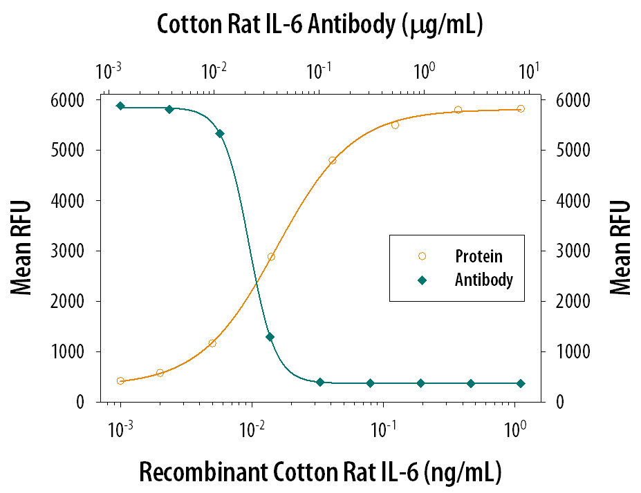 Recombinant Cotton Rat IL-6 (Catalog # 561-R6) stimulates proliferation in the T1165.85.2.1 mouse plasmacytoma cell line in a dose-dependent manner (orange line). Proliferation elicited by Recombinant Cotton Rat IL-6 (0.25 ng/mL) is neutralized (green line) by increasing concentrations of Goat Anti-Cotton Rat IL-6 Antigen Affinity-purified Polyclonal Antibody (Catalog # AF561). The ND50 is typically 0.03-0.12 µg/mL.