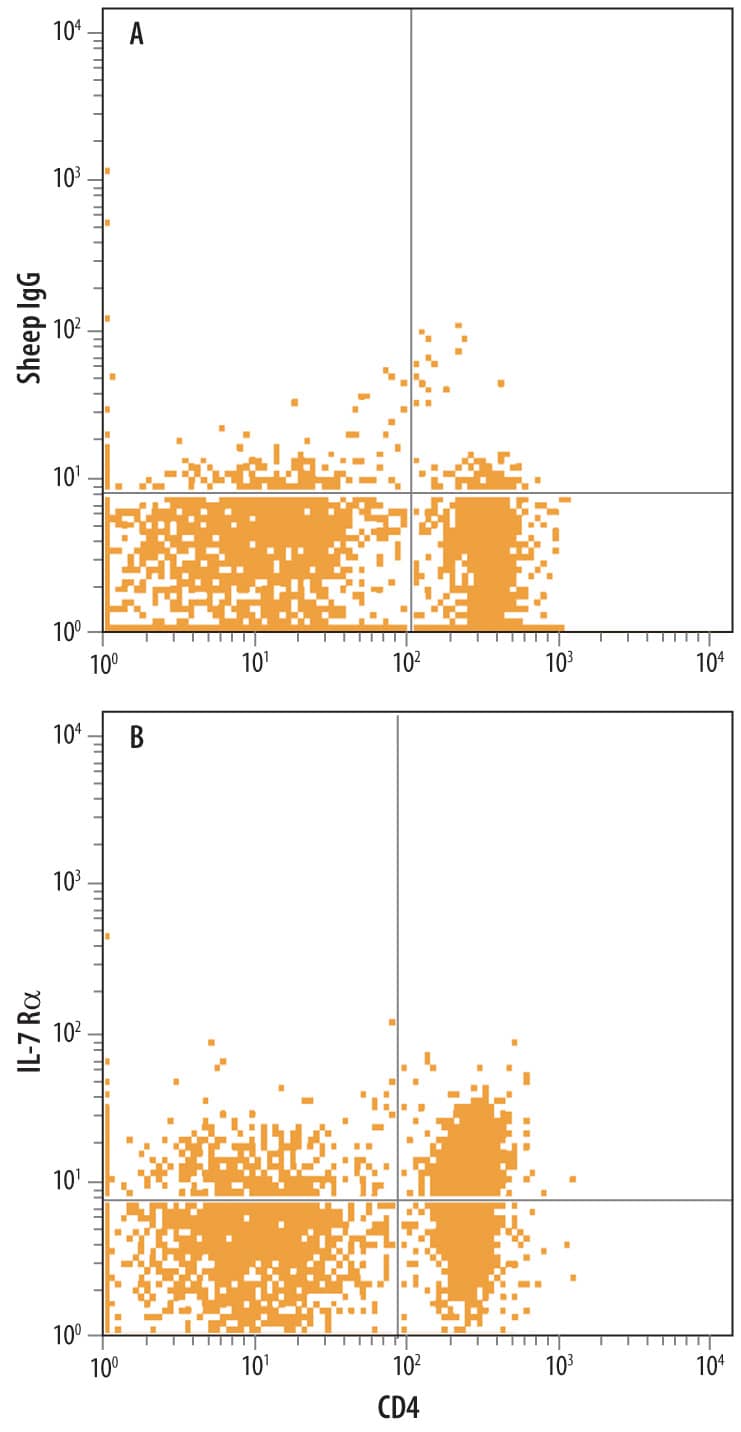 Rat splenocytes were stained with Allophycocyanin-conjugated Mouse Anti-Rat CD4 Antibody and either (A) Normal Sheep IgG Control (Catalog # 5-001-A) or (B) Sheep Anti-Rat IL-7 Ra/CD127 Antigen Affinity-purified Polyclonal Antibody (Catalog # AF5607) followed by Phycoerythrin-conjugated Anti-Sheep IgG Secondary Antibody (Catalog # F0126).