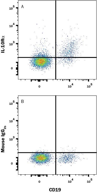 Human peripheral blood lymphocytes were stained with (A) Mouse Anti-Human IL-10 Ra Alexa Fluor® 488-conjugated Monoclonal Antibody (Catalog # FAB2742G) or (B) Mouse IgG2B isotype control antibody (Catalog # IC0041G) and Mouse Anti-Human CD19 APC-conjugated Monoclonal Antibody (Catalog # FAB4867A). View our protocol for Staining Membrane-associated Proteins.