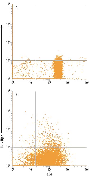 Human CD4+peripheral blood mononuclear cells (PBMCs) either (A) untreated or (B) treated with 1 ug/mL plate-bound Mouse Anti-Human CD3e Monoclonal Antibody (Catalog # MAB100), 10 ng/mL Recombinant Human IL-12 (Catalog # 219-IL), and 10 ng/mL Recombinant Human IL-2 (Catalog # 202-IL) for 5 days to induce Th1 cell development, followed by restimulation with 50 ng/mL PMA and 200 ng/mL Calcium Ionomycin for 2 to 3 hours, were stained with Mouse Anti-Human CD4 PE-conjugated Monoclonal Antibody (Catalog # FAB3791P) and Mouse Anti-Human/Mouse IL-12 R beta 2 APC-conjugated Monoclonal Antibody (Catalog # FAB1959A). Quadrant markers were set based on control antibody staining using Mouse IgG1Allophycocyanin Isotype Control (Catalog # IC002A). View our protocol for Staining Membrane-associated Proteins.