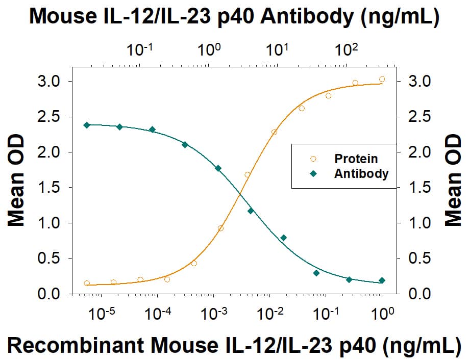 Recombinant Mouse IL-12 (Catalog # 419-ML) stimulates IFN-gamma secretion in mouse splenocytes in a dose-dependent manner (orange line), as measured by the Mouse IFN-gamma Quantikine ELISA Kit (Catalog # MIF00). Under these conditions, IFN-gamma secretion elicited by Recombinant Mouse IL-12 (30 pg/mL) is neutralized (green line) by increasing concentrations of Mouse IL-12/IL-23 p40 Monoclonal Antibody (Catalog # MAB4992). The ND50 is typically 1-10 ng/mL.