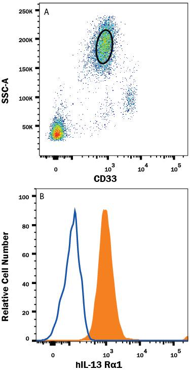 Human peripheral blood granulocytes were stained with (A) Mouse Anti-Human Siglec-3/CD33 PE-conjugated Monoclonal Antibody (Catalog # FAB1137P) and (B) Mouse Anti-Human IL-13 Ra1 APC-conjugated Monoclonal Antibody (Catalog # FAB1462A, filled histogram) or isotype control antibody (Catalog # IC0041A, open histogram). View our protocol for Staining Membrane-associated Proteins.