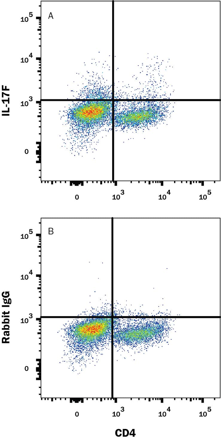 Mouse splenocytes stimulated to induce Th17 cells were stained with Rat Anti-Mouse CD4 APC-conjugated Monoclonal Antibody (FAB554A) and either (A) Rabbit Anti-Mouse IL-17F Alexa Fluor® 488-conjugated Monoclonal Antibody (Catalog # IC20571G) or (B) Normal Rabbit IgG Alexa Fluor 488 Control (IC105G). To facilitate intracellular staining, cells were fixed with Flow Cytometry Fixation Buffer (FC004) and permeabilized with Flow Cytometry Permeabilization/Wash Buffer I (FC005). View our protocol for Staining Intracellular Molecules.