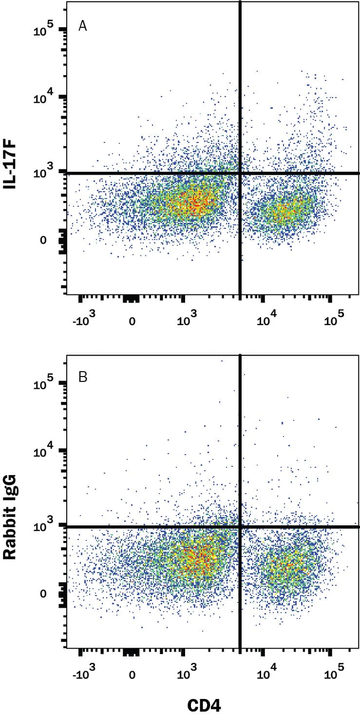 Mouse splenocytes stimulated to induce Th17 cells were stained with Rat Anti-Mouse CD4 PE-conjugated Monoclonal Antibody (FAB554P) and either (A) Rabbit Anti-Mouse IL-17F Alexa Fluor® 647-conjugated Monoclonal Antibody (Catalog # IC20571R) or (B) Normal Rabbit IgG Alexa Fluor® 647-conjugated Control. To facilitate intracellular staining, cells were fixed with Flow Cytometry Fixation Buffer (FC004) and permeabilized with Flow Cytometry Permeabilization/Wash Buffer I (FC005). View our protocol for Staining Intracellular Molecules.